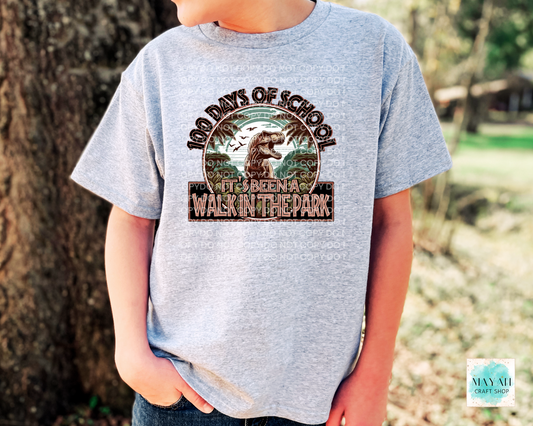 Walk in the park 100 days kids ash grey shirt. -Mayan Craft Shop